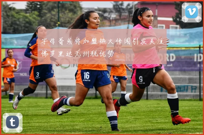 字母哥或将加盟热火传闻引发关注佛罗里达无州税优势