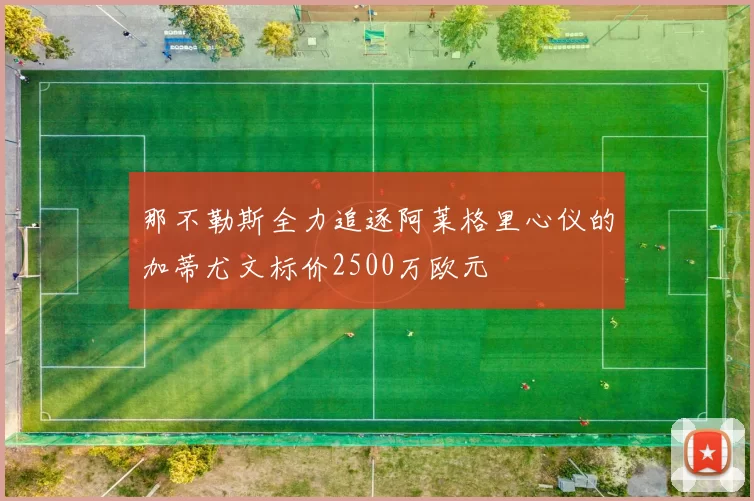 那不勒斯全力追逐阿莱格里心仪的加蒂尤文标价2500万欧元