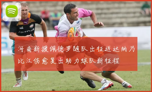 河南新援佩德罗随队出征迈达纳乃比江伤愈复出助力球队新征程